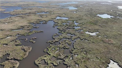 20 Acres of Marsh on Bayou la Loutre for sale in St. Bernard Parish, Louisiana