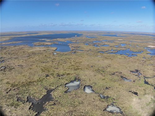 20 Acres of Marsh on Bayou la Loutre for sale in St. Bernard Parish, Louisiana — photo 5 of 10