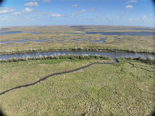 30 Acres of Marsh on Bayou la Loutre for sale in St. Bernard Parish, Louisiana