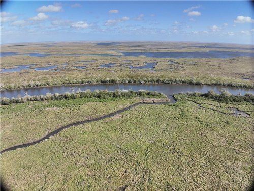 30 Acres of Marsh on Bayou la Loutre for sale in St. Bernard Parish, Louisiana — photo 5 of 16
