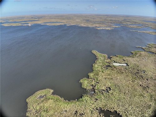 382 Acres of Marsh on Bayou la Loutre for sale in St. Bernard Parish, Louisiana