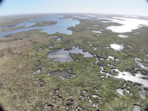 382 Acres of Marsh on Bayou la Loutre for sale in St. Bernard Parish, Louisiana — photo 2 of 11
