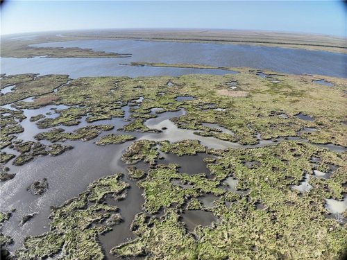 382 Acres of Marsh on Bayou la Loutre for sale in St. Bernard Parish, Louisiana — photo 3 of 11