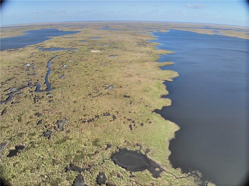382 Acres of Marsh on Bayou la Loutre for sale in St. Bernard Parish, Louisiana — photo 4 of 11