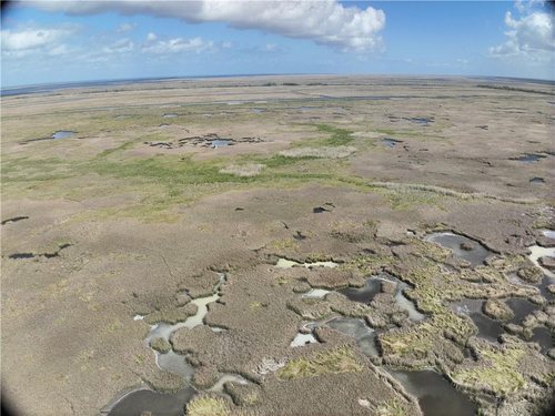 50 Acres of Marsh on Bayou la Loutre for sale in St. Bernard Parish, Louisiana
