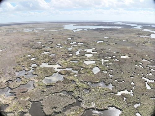 50 Acres of Marsh on Bayou la Loutre for sale in St. Bernard Parish, Louisiana — photo 2 of 15
