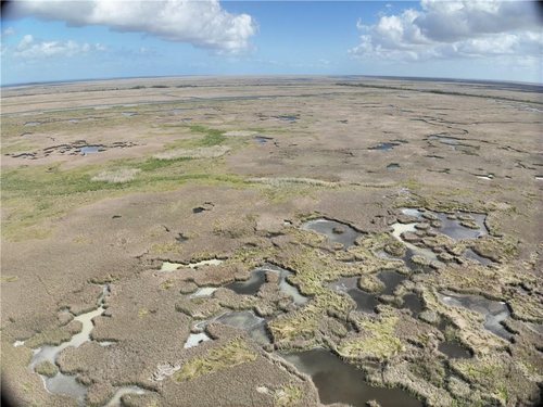 50 Acres of Marsh on Bayou la Loutre for sale in St. Bernard Parish, Louisiana — photo 5 of 15