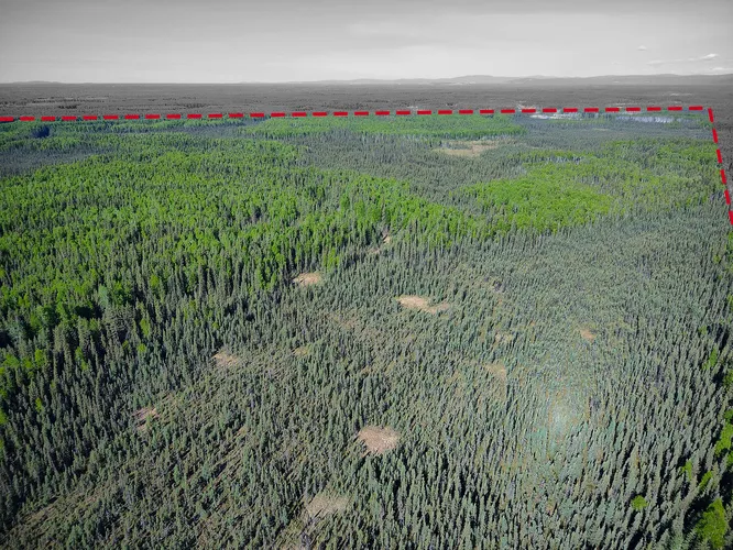 263 Acres of Uncut Timber West of the Chena River for sale in Fairbanks North Star Borough, Alaska