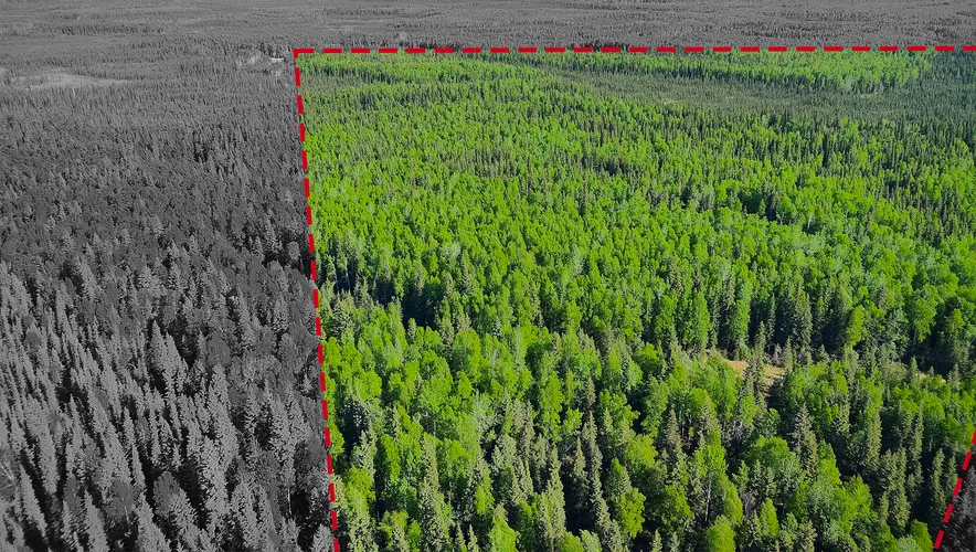 263 Acres of Uncut Timber West of the Chena River for sale in Fairbanks North Star Borough, Alaska — photo 3 of 31