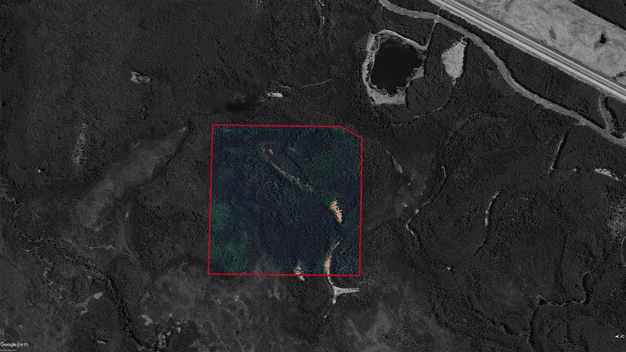 263 Acres of Uncut Timber West of the Chena River for sale in Fairbanks North Star Borough, Alaska — photo 5 of 31