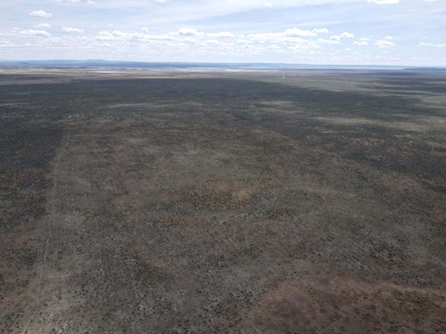 40 Acres of Eastern Oregon High Desert for sale in Harney County, Oregon — photo 5 of 14