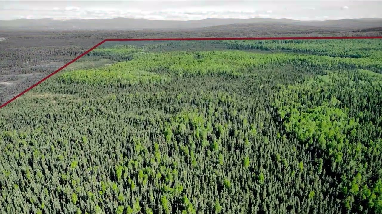 Video tour of 263 Acres of Uncut Timber West of the Chena River