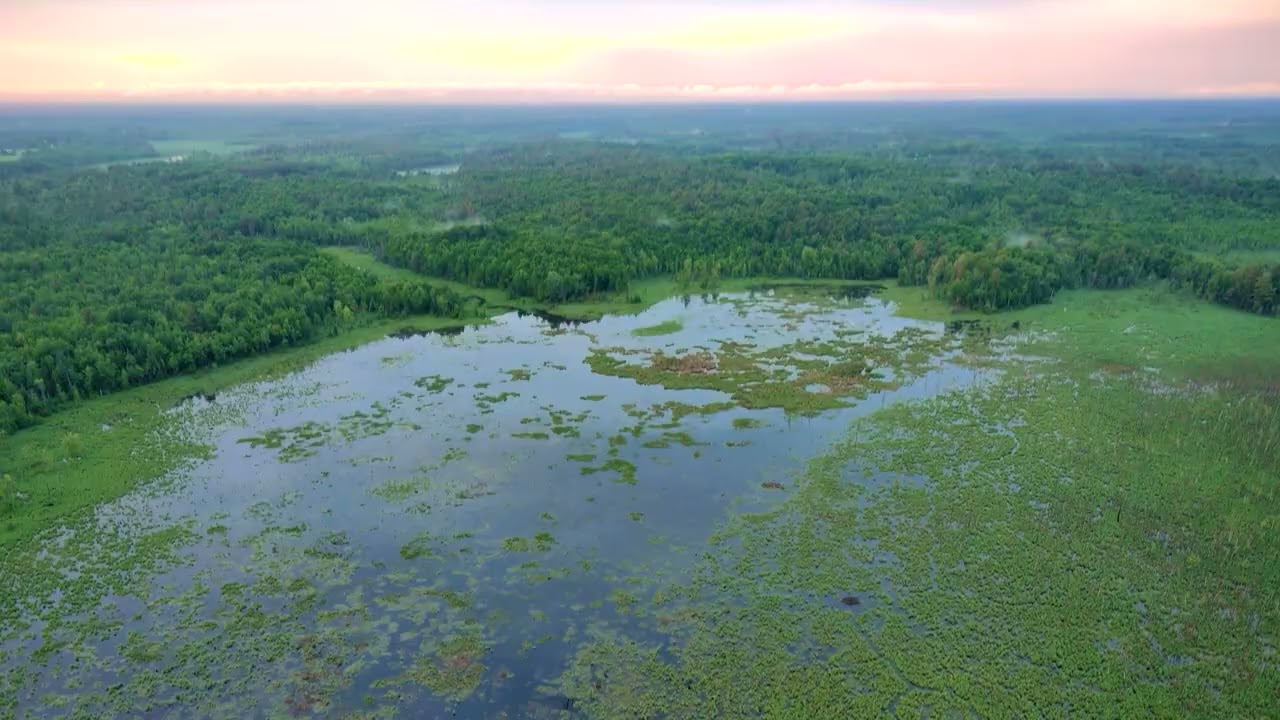 Video tour of 22.9 Acres Off Old Market Road